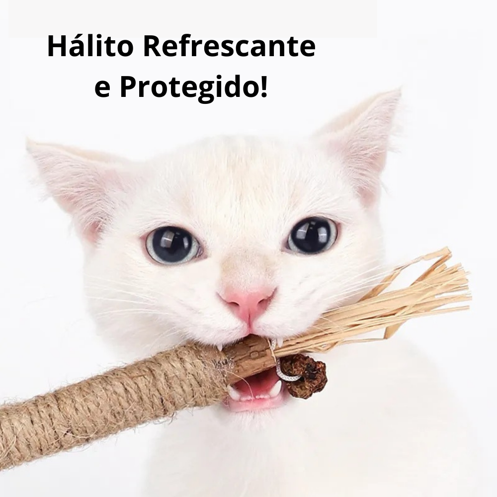 Brinquedo NatuHerb - Saúde Bucal Felina