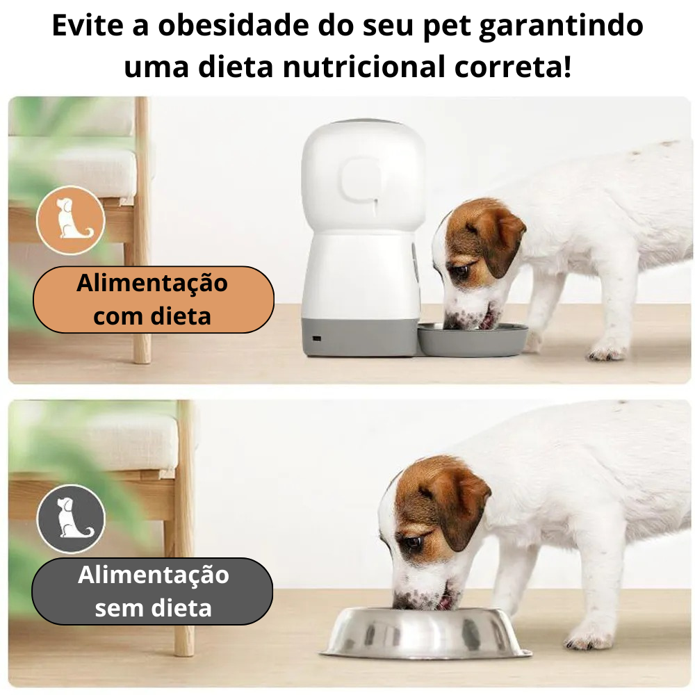 Comedouro Inteligente para Pets