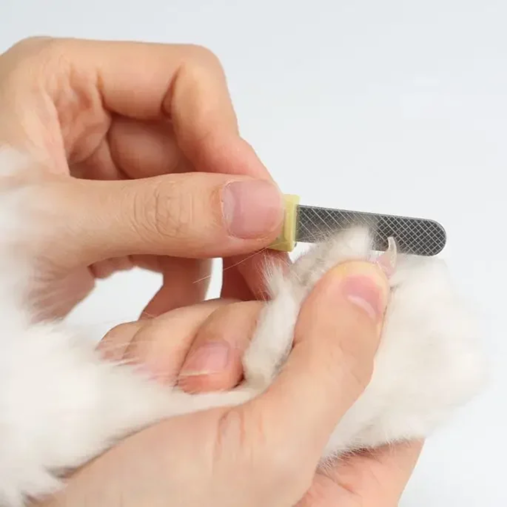 Cortador de Unhas LED para Gatos