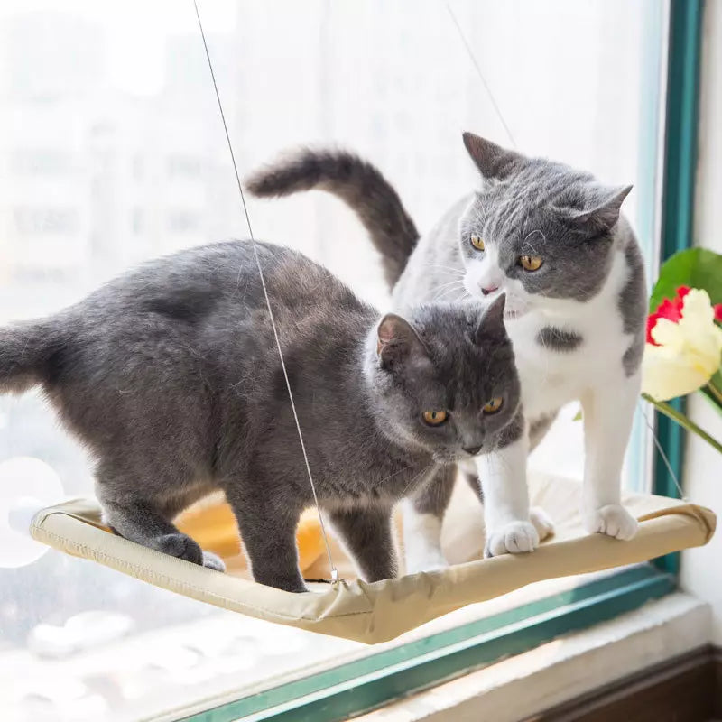 Cama de Janela Suspensa para Gatos