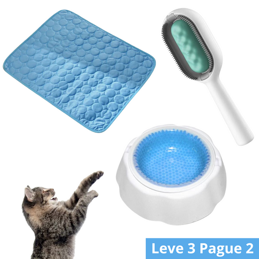 Kit Refrescância Tapete Gelado Médio + Tigela Gelada + Escova Multifuncional para Pets