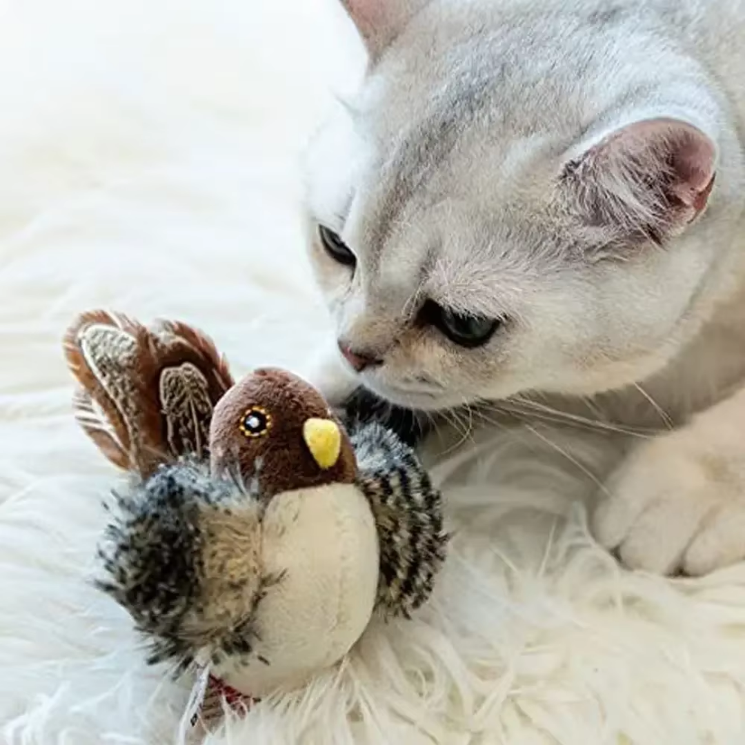 Brinquedo Passarinho Interativo de Pelúcia para Gatos