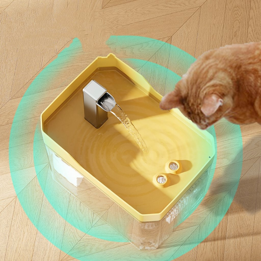 Bebedouro com Fonte Automática para Gatos