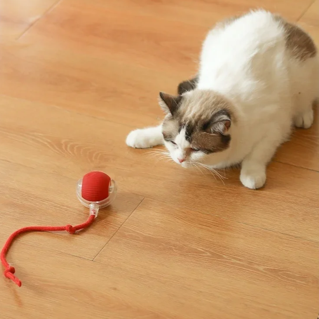 Brinquedo Bola de Caça Eletrônica para Gatos