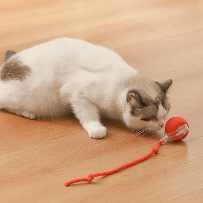 Brinquedo Bola de Caça Eletrônica para Gatos