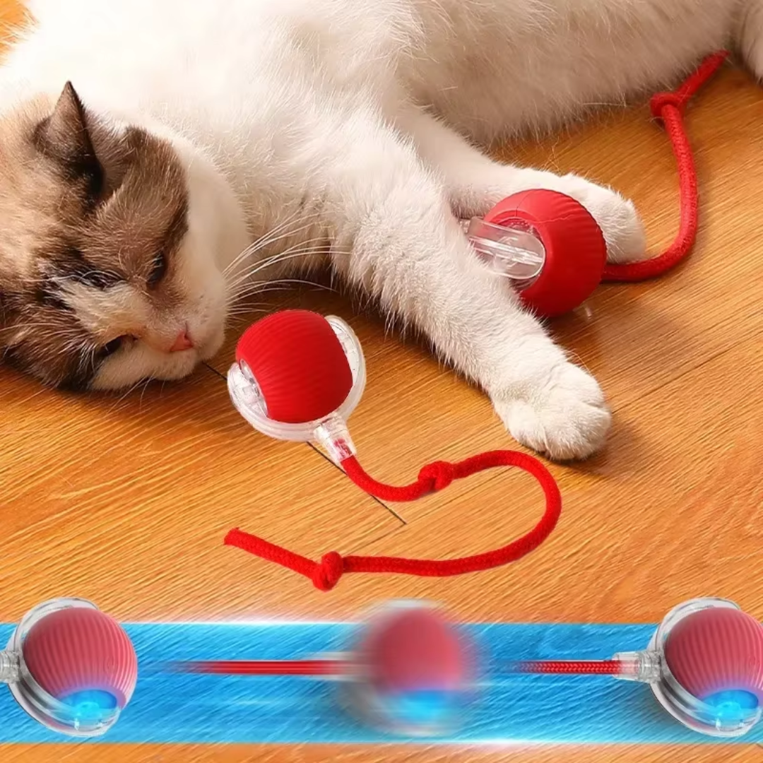 Brinquedo Bola de Caça Eletrônica para Gatos