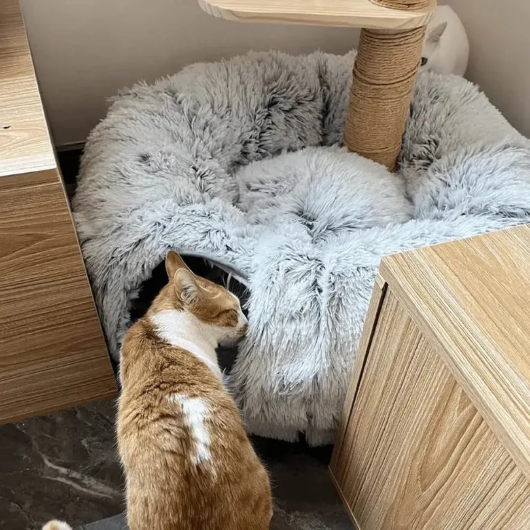 Cama Toquinha com Túnel para Gatos