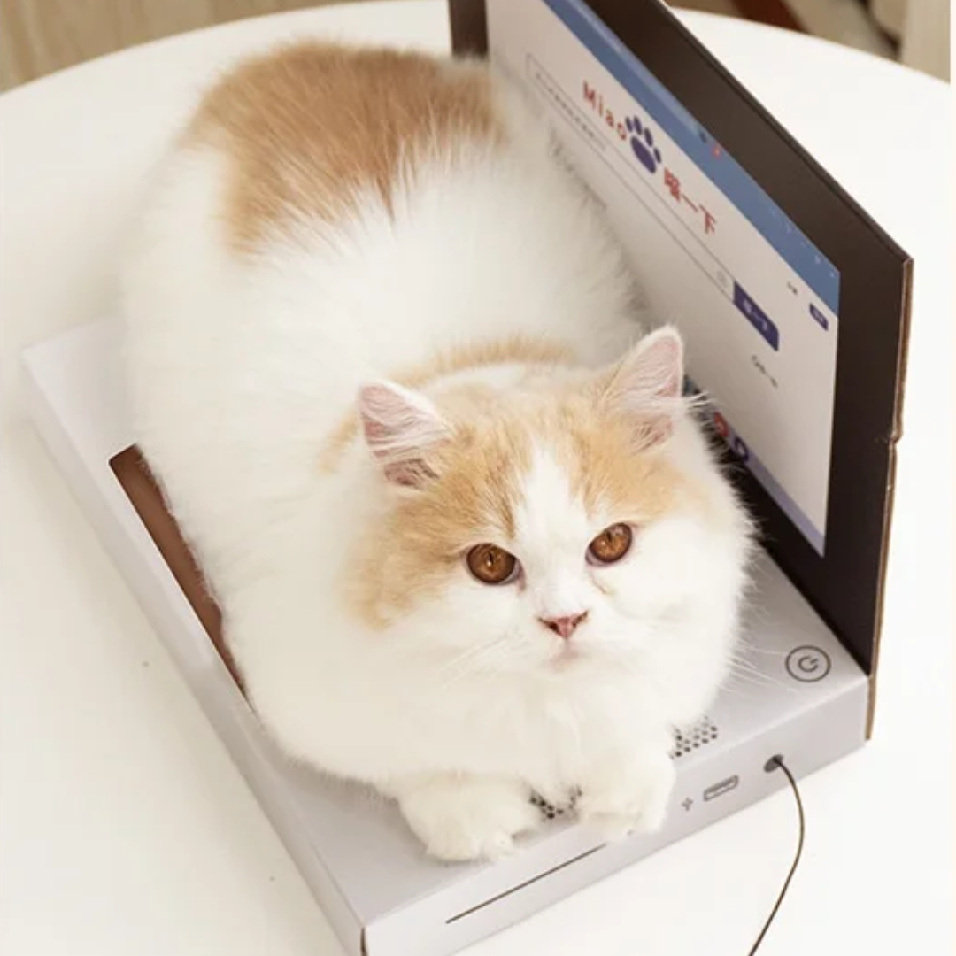 Laptop com Arranhador para Gatos